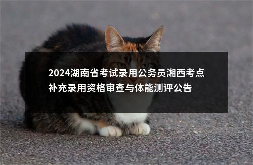 2024湖南省考试录用公务员湘西考点补充录用资格审查与体能测评公告 图片