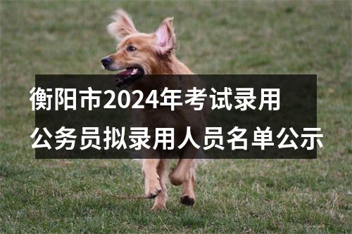 衡阳市2024年考试录用公务员拟录用人员名单公示 图片