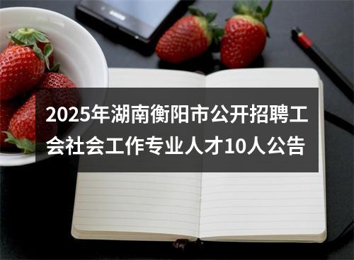 2025年湖南衡阳市公开招聘工会社会工作专业人才10人公告 图片
