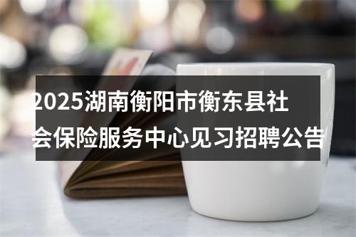 2025湖南衡阳市衡东县社会保险服务中心见习招聘公告 图片