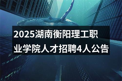 2025湖南衡阳理工职业学院人才招聘4人公告 图片