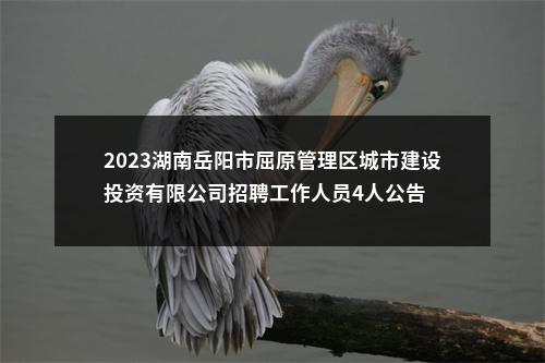 2023湖南岳阳市屈原管理区城市建设投资有限公司招聘工作人员4人公告 图片