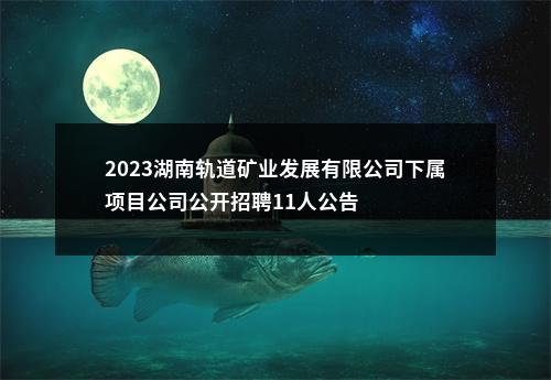 2023湖南轨道矿业发展有限公司下属项目公司公开招聘11人公告 图片