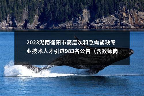 2023湖南衡阳市高层次和急需紧缺专业技术人才引进983名公告（含教师岗） 图片