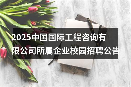 2025中国国际工程咨询有限公司所属企业校园招聘公告 图片