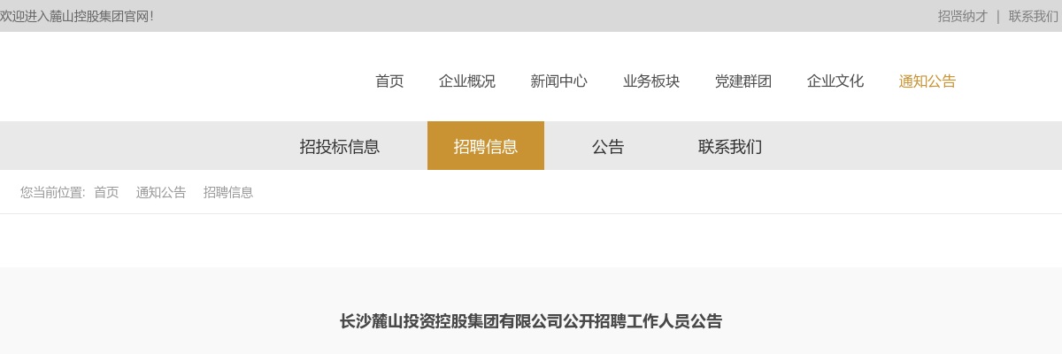 2023湖南长沙麓山投资控股集团有限公司招聘46人公告 图片